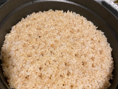 staub20で炊くカニ穴ポコポコ玄米(3合)
